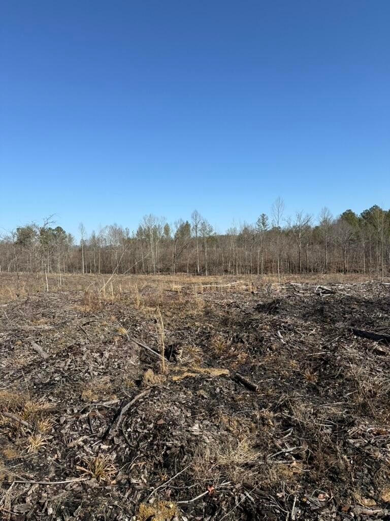 Photo of Listing #2994511