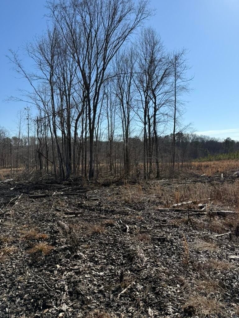 Photo of Listing #2994513