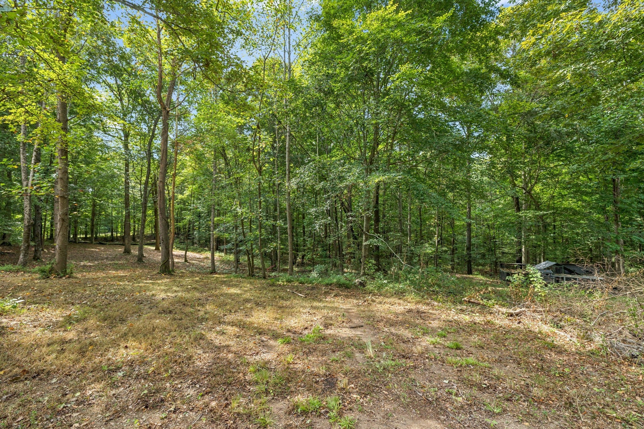 Photo of Listing #2995853