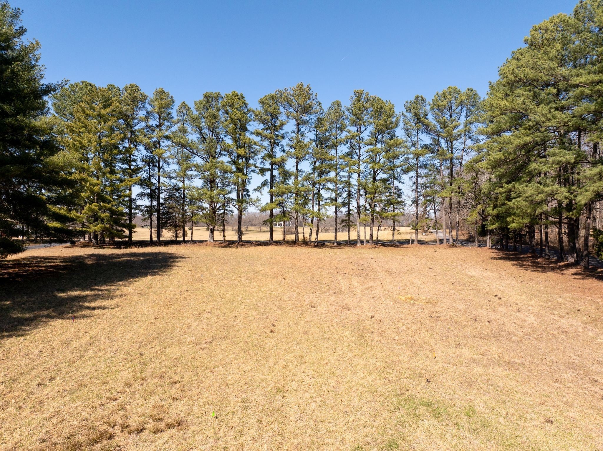 Photo of Listing #2996150