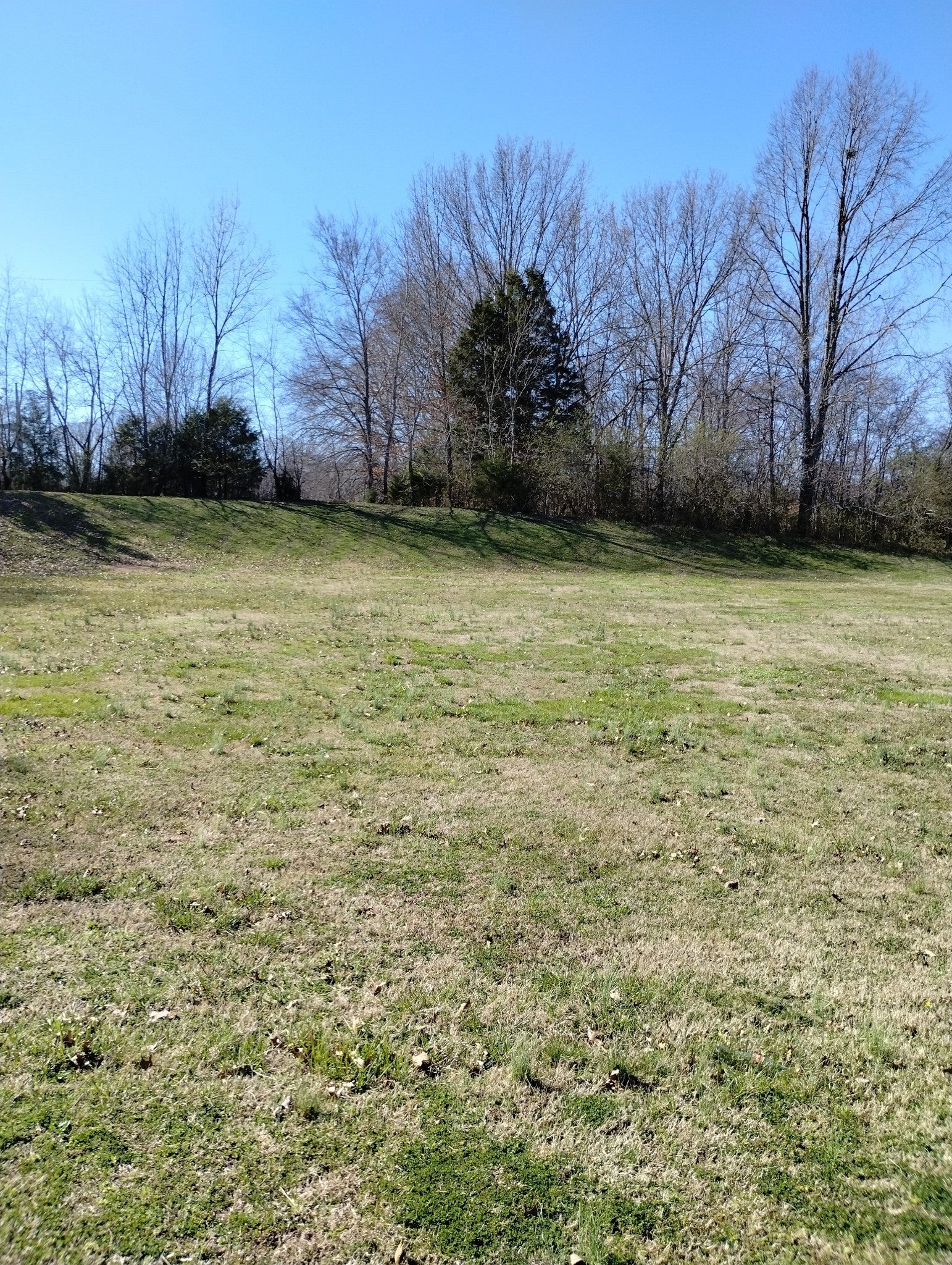 Photo of Listing #2996210