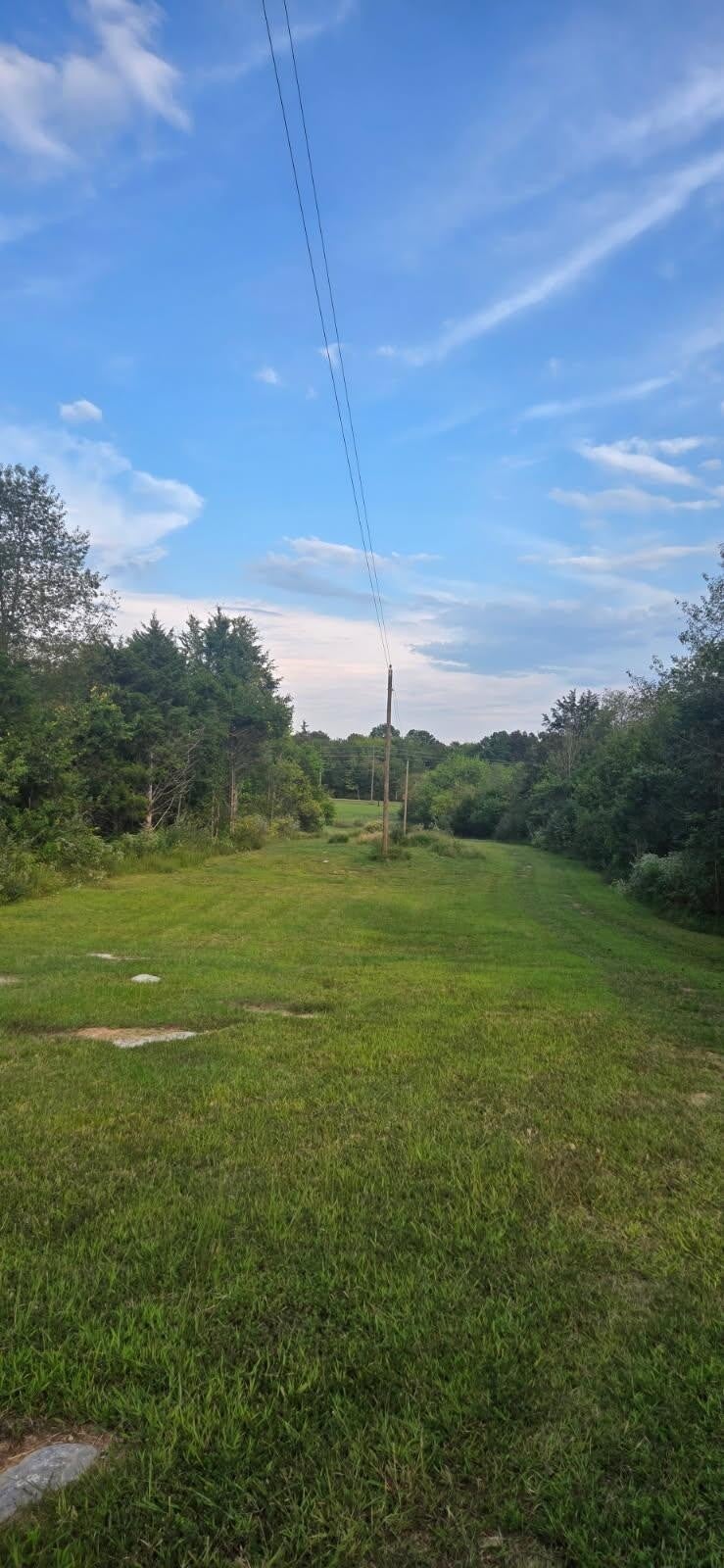 Photo of Listing #2996365