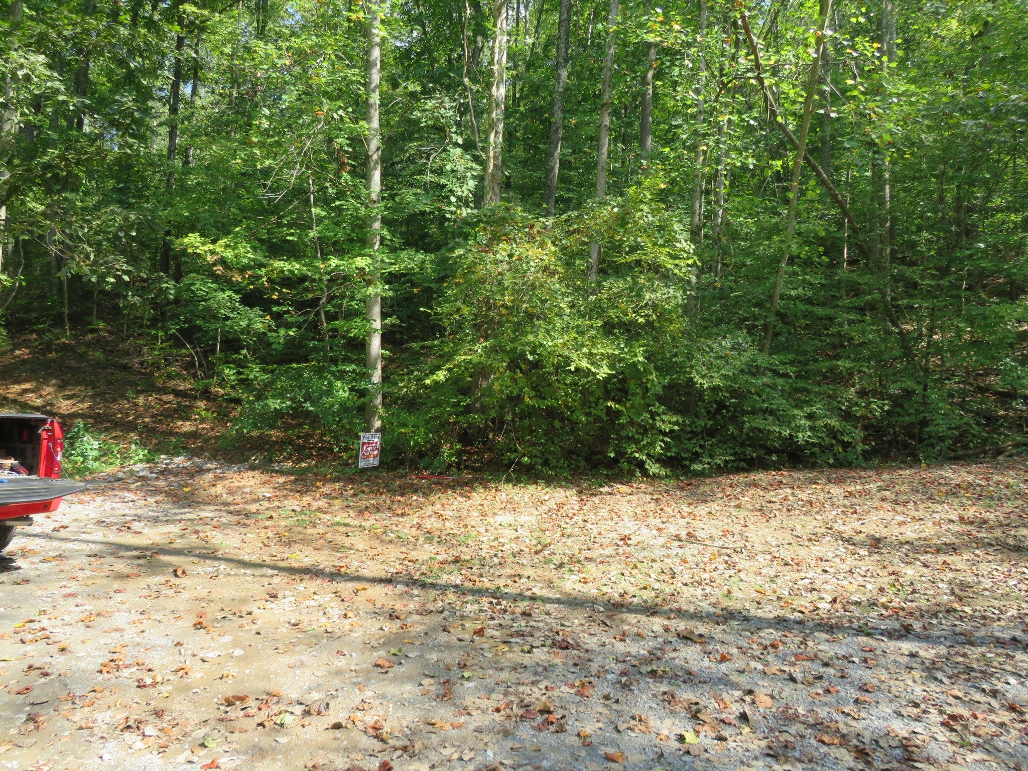 Photo of Listing #2996368