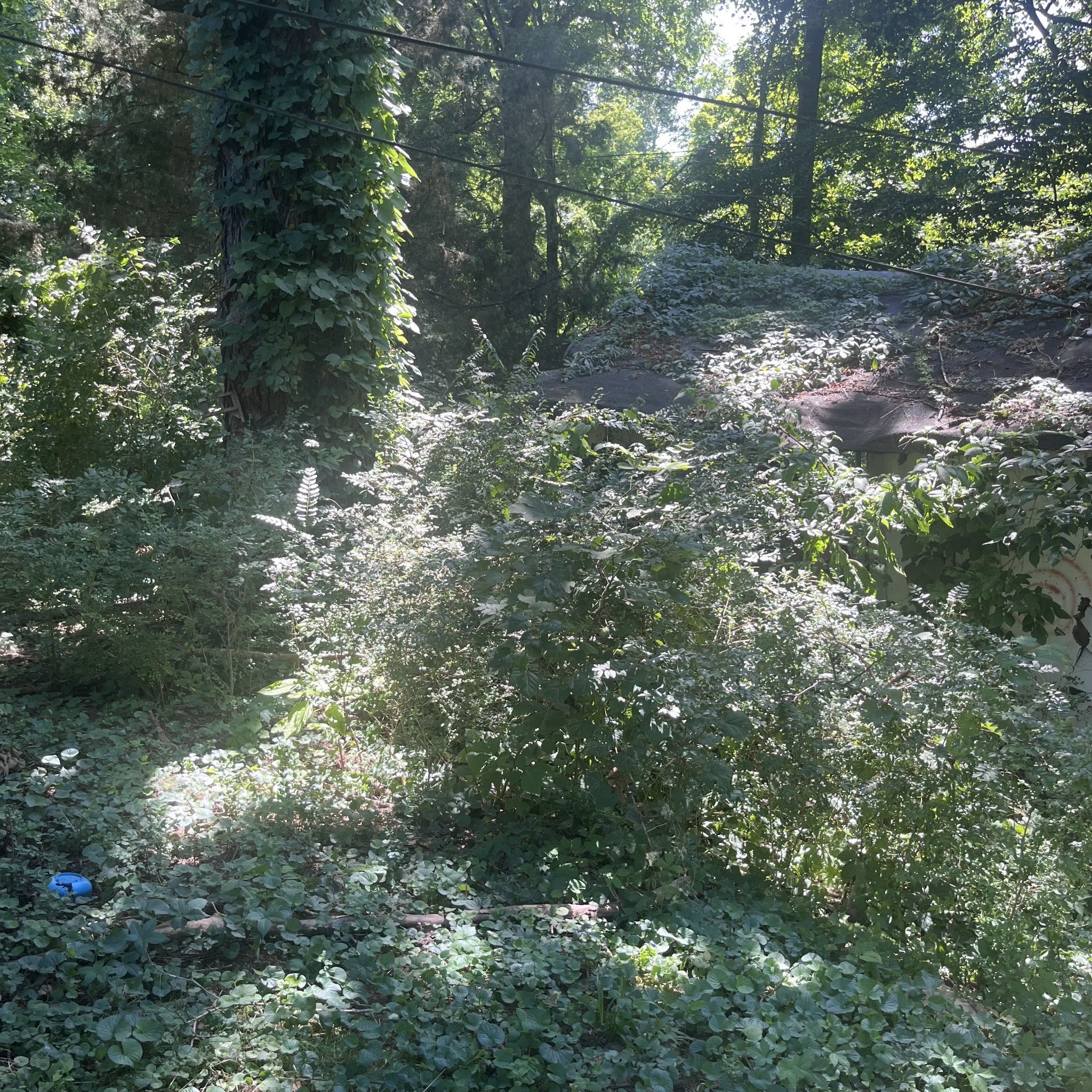 Photo of Listing #2996471