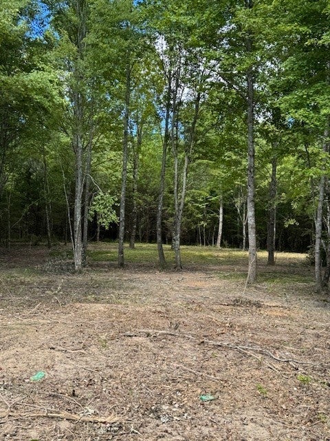 Photo of Listing #2998128