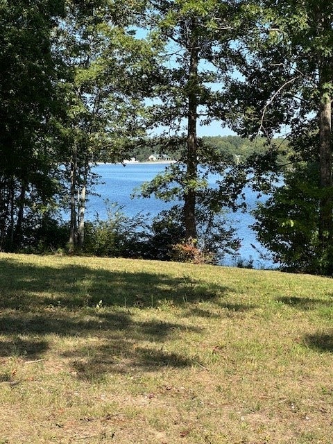 Photo of Listing #2998171