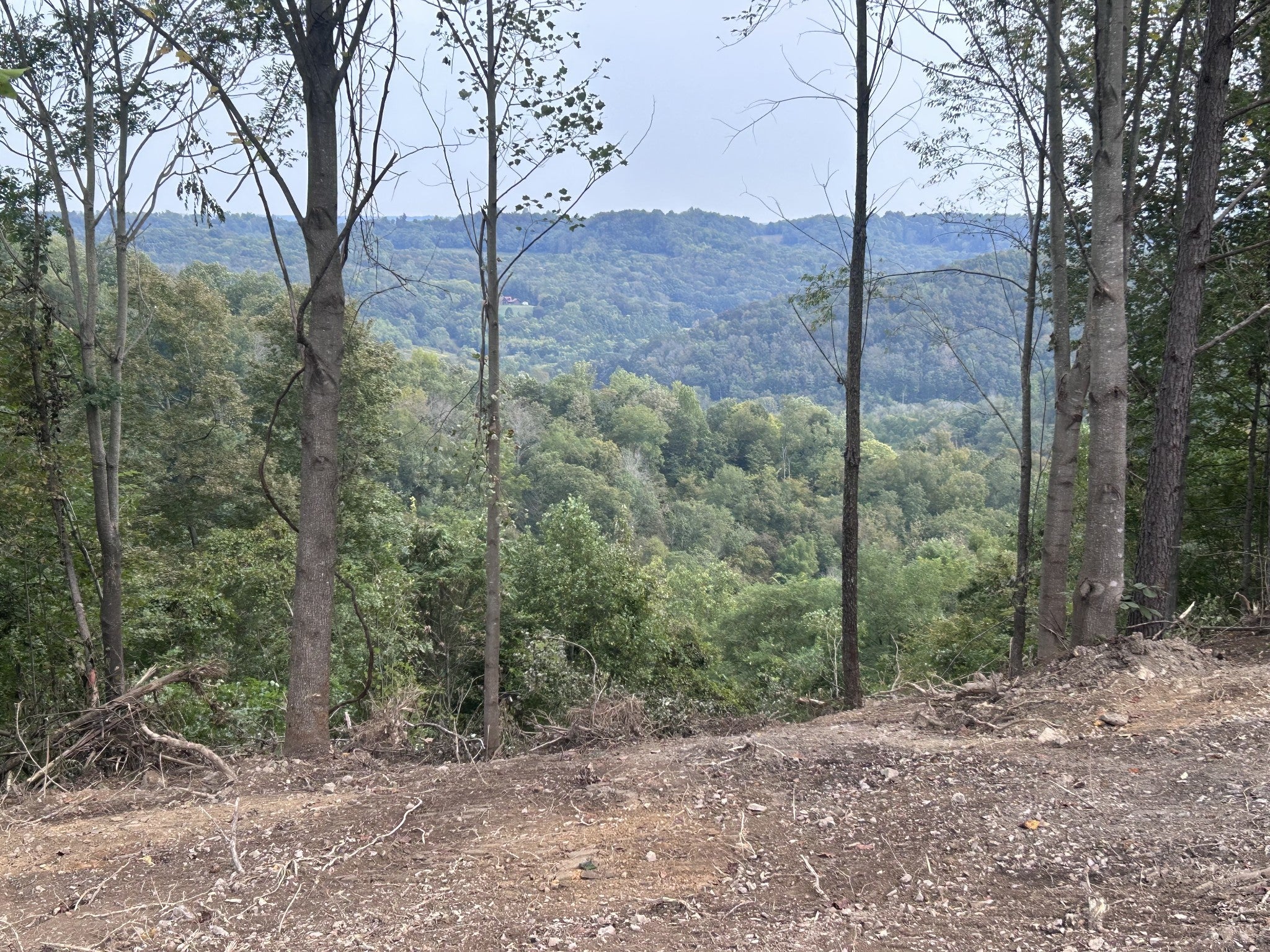 Photo of Listing #2998268