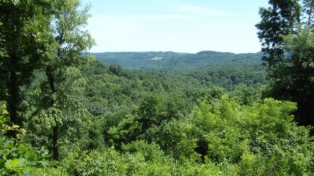 Photo of Listing #2998744