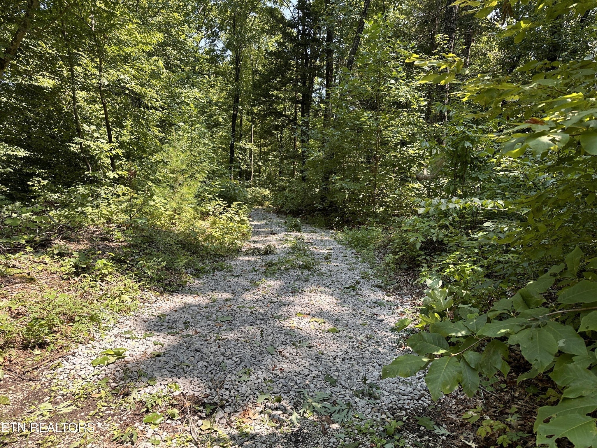 Photo of Listing #2998775