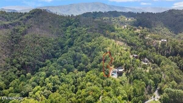 Photo of Listing #2999828