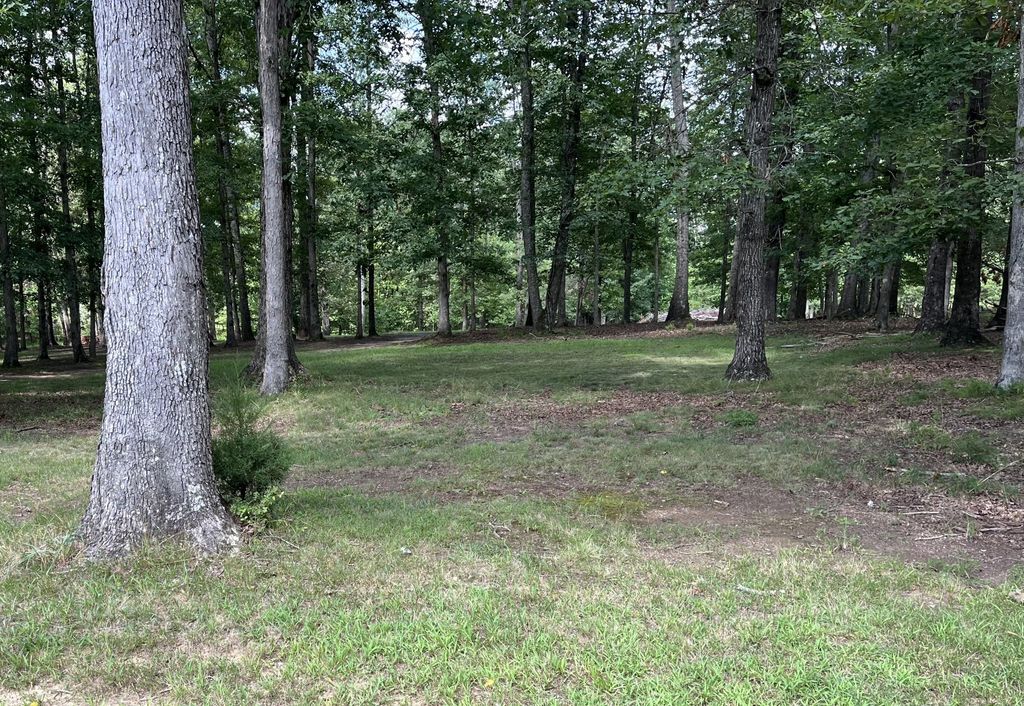 221 Blackberry Farm Rd W, Monteagle