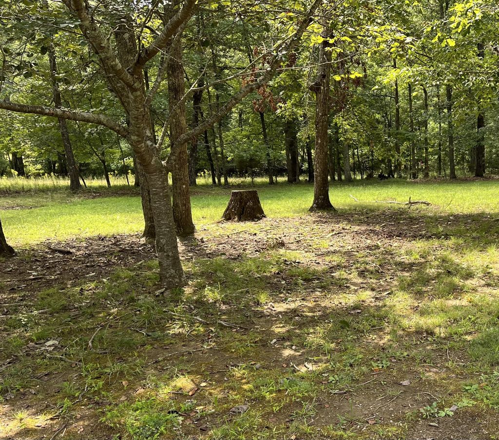 214 Blackberry Farm Rd W, Monteagle