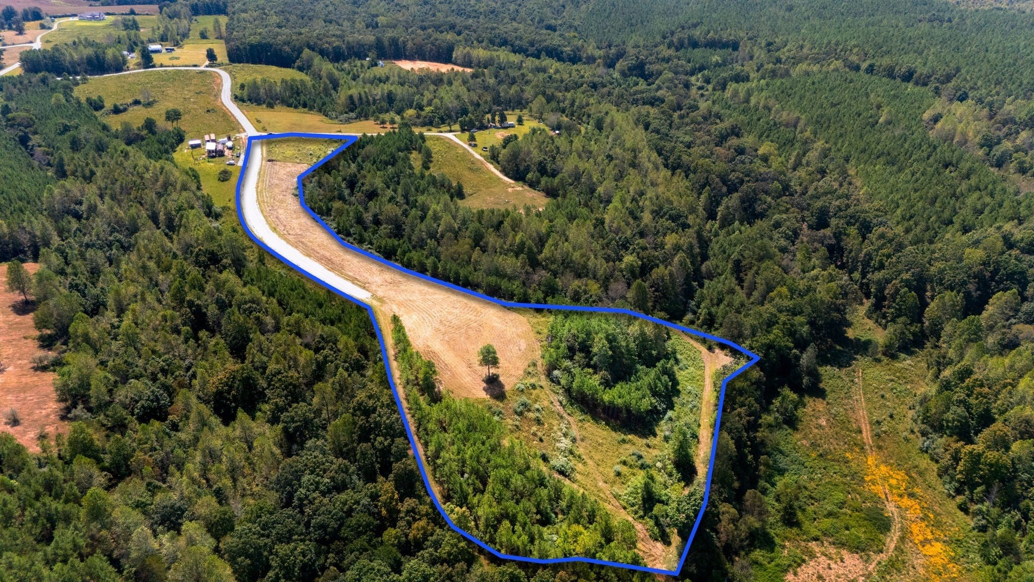 Photo of Listing #2999920