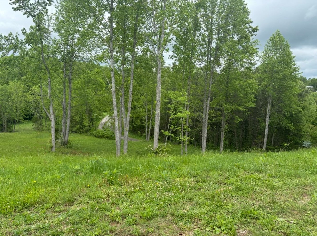 Photo of Listing #2999993