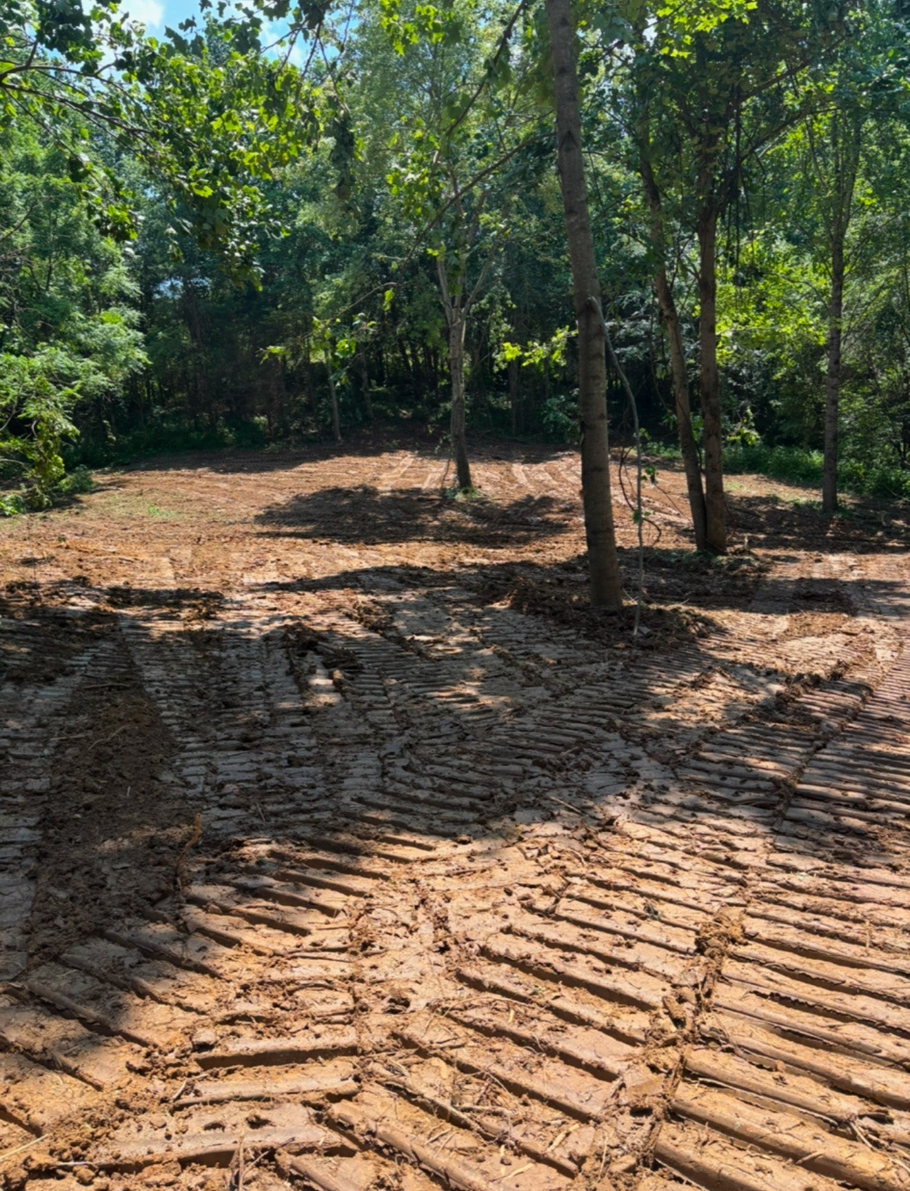 Photo of Listing #2999996