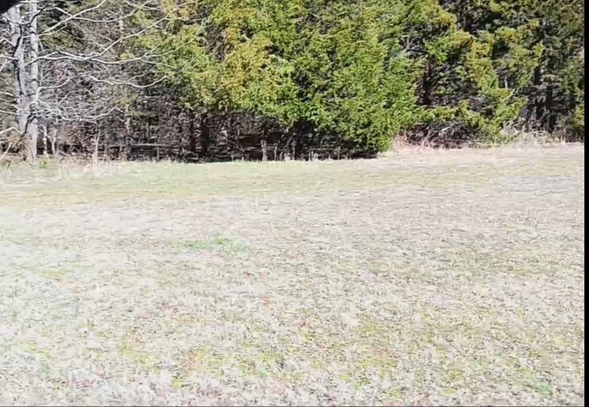 Photo of Listing #3000014