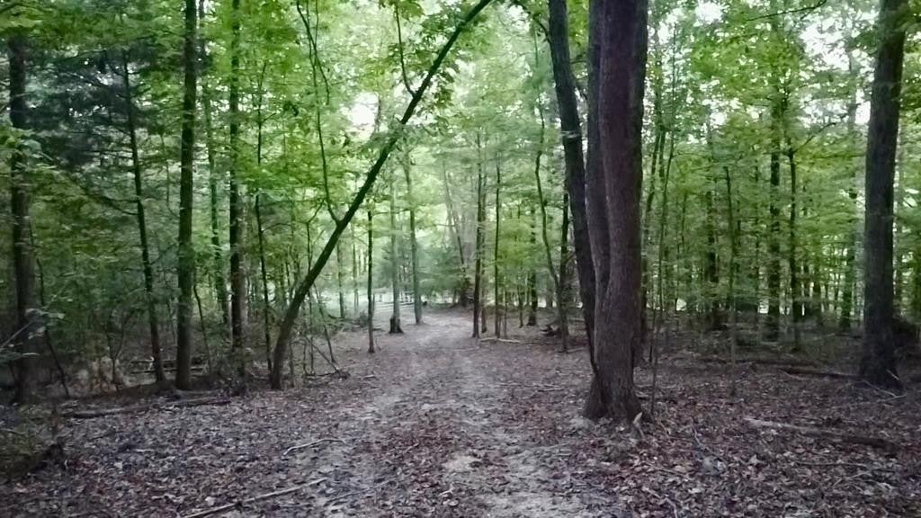 Photo of Listing #3000155