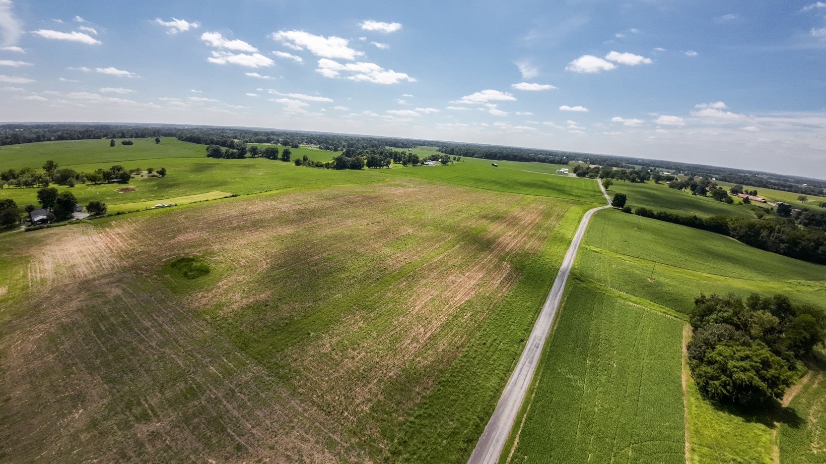 Photo of Listing #3000160