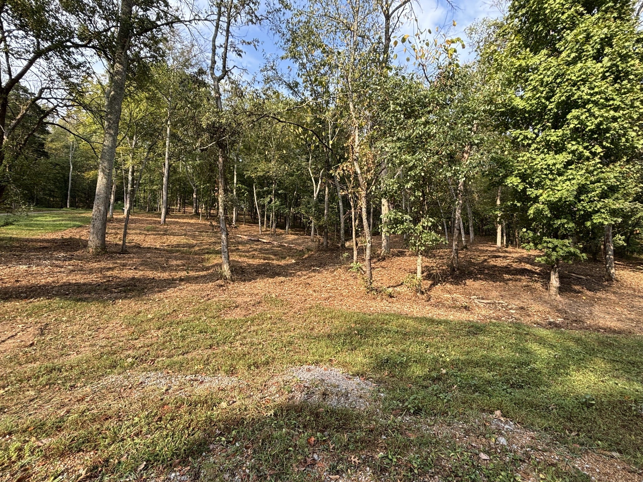 Photo of Listing #3000336