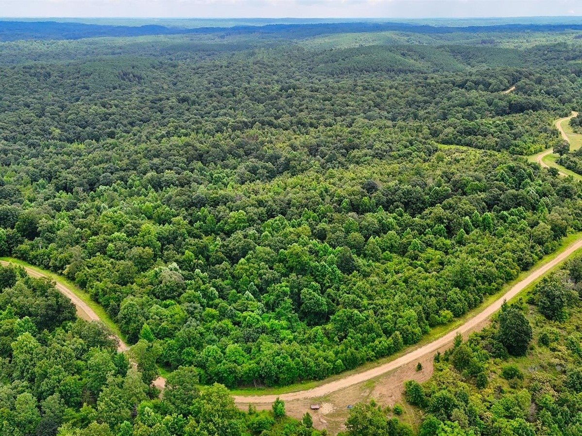 Photo of Listing #3000397