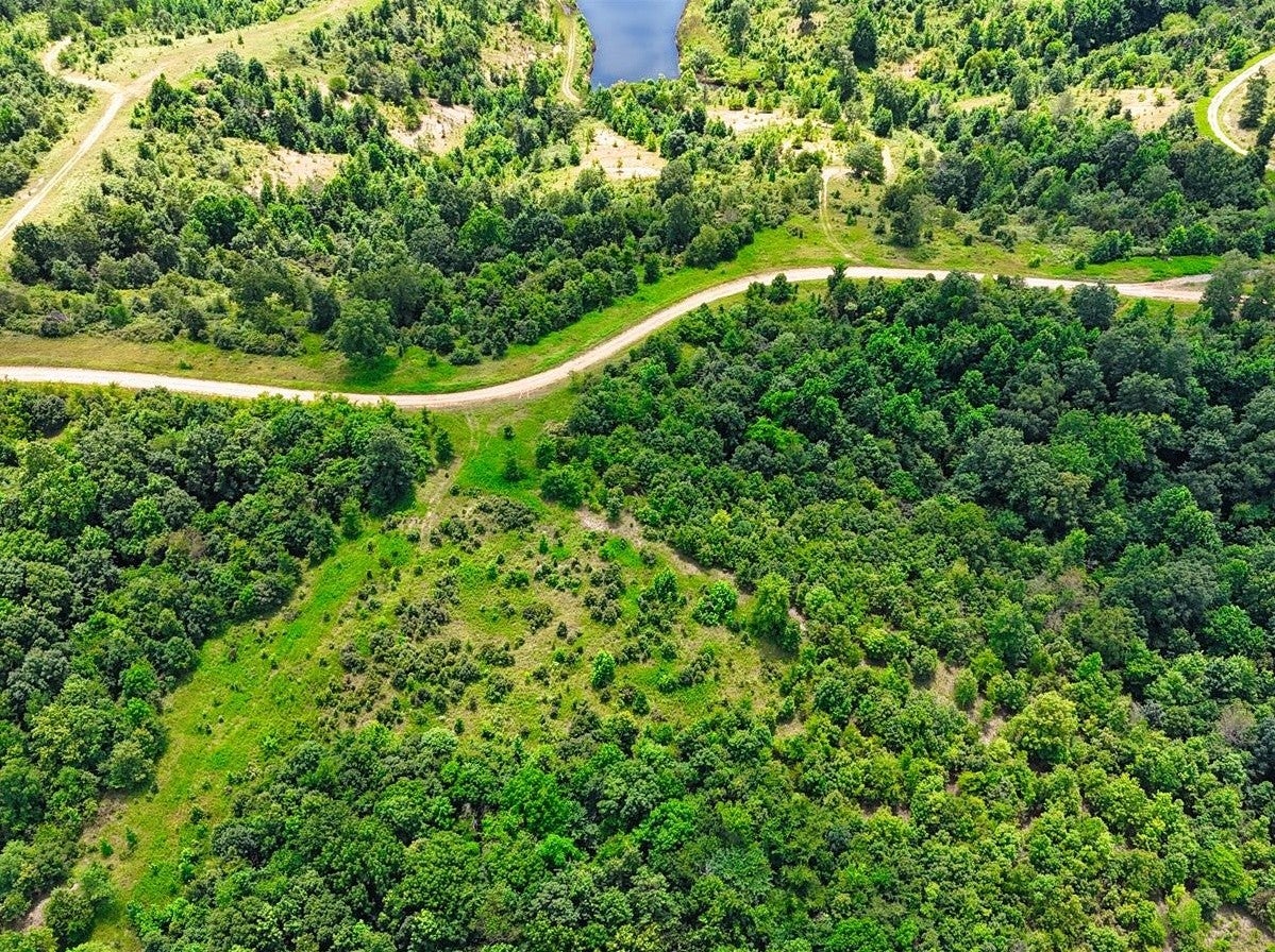 Photo of Listing #3000425