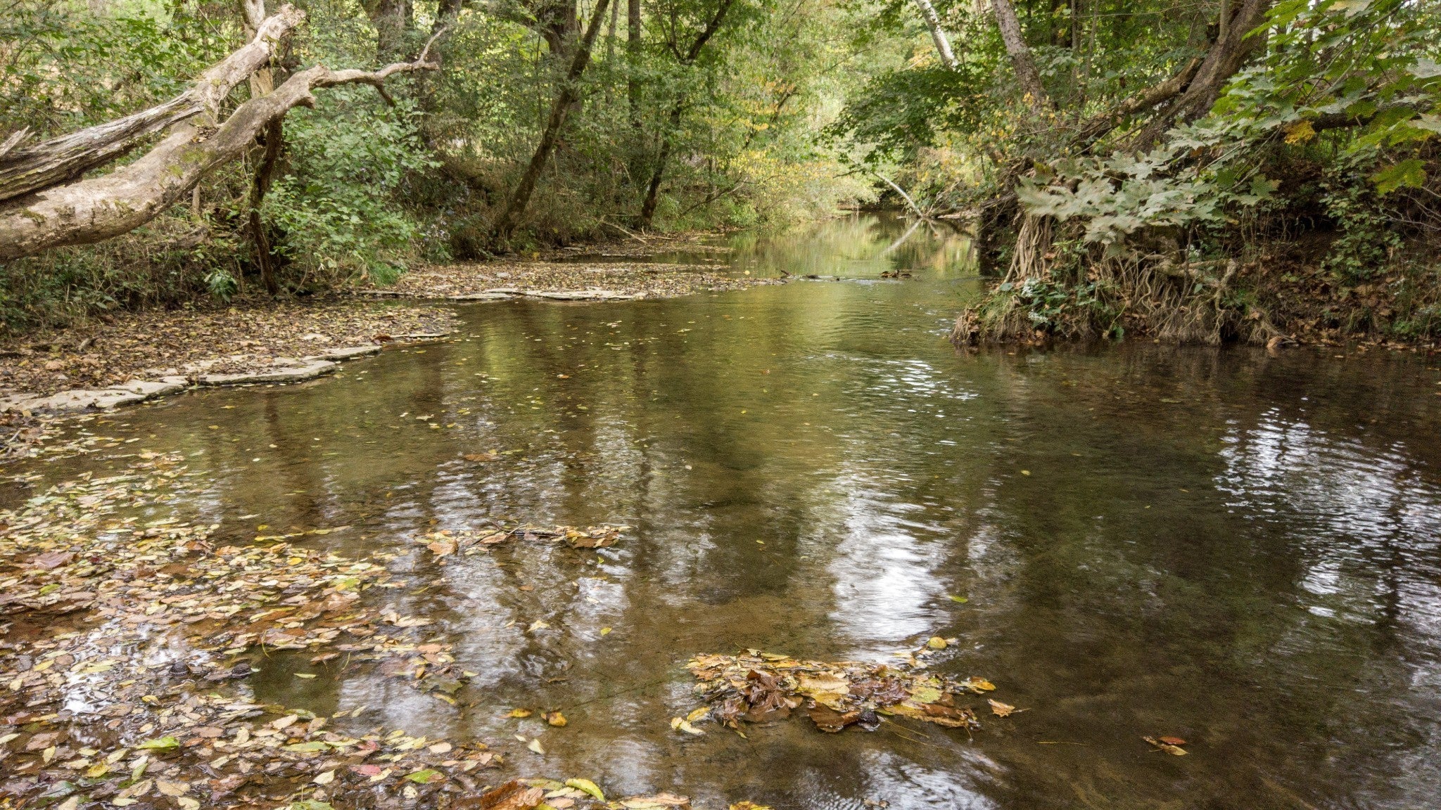 Photo of Listing #3000469