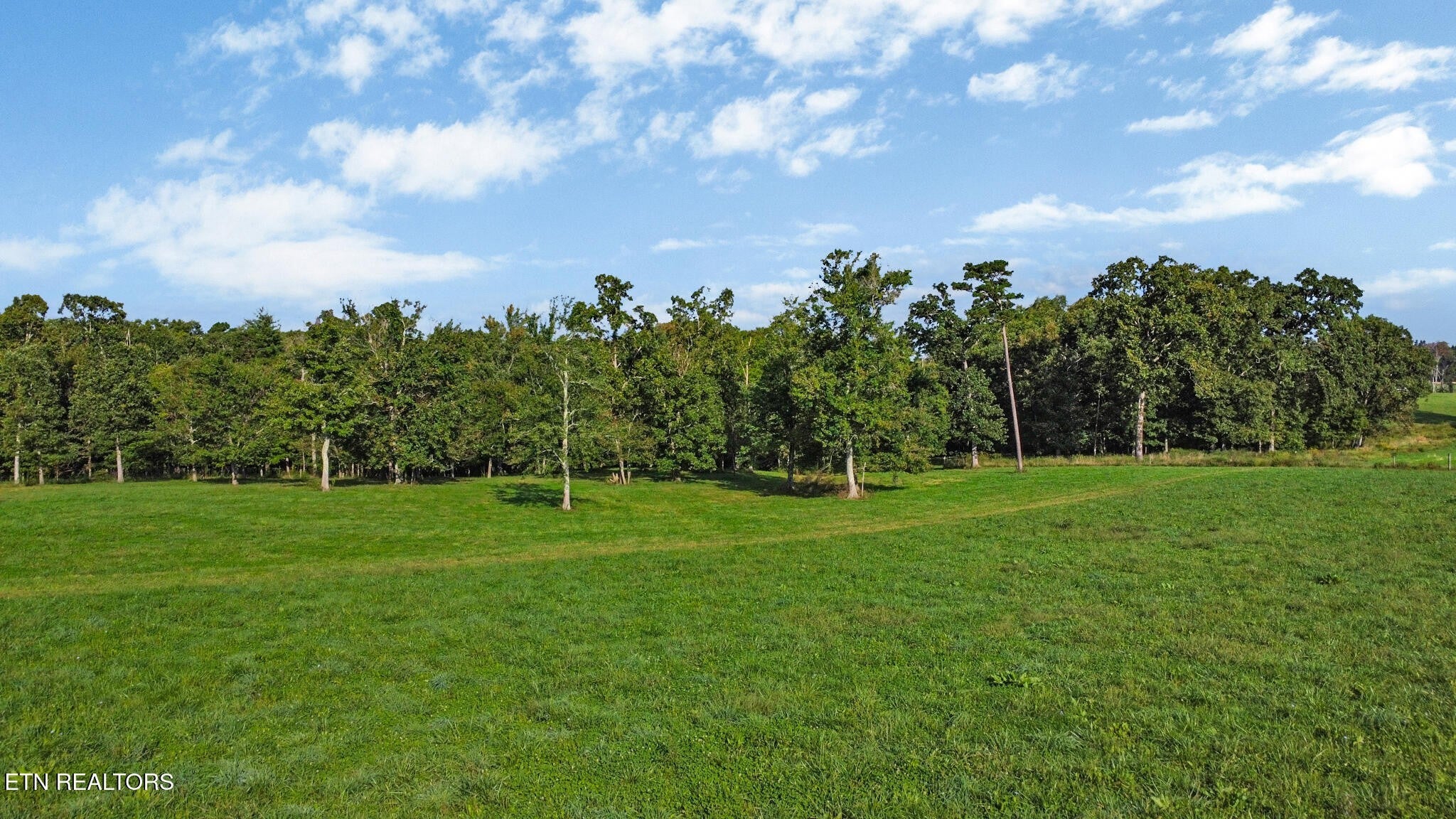 Photo of Listing #3000554