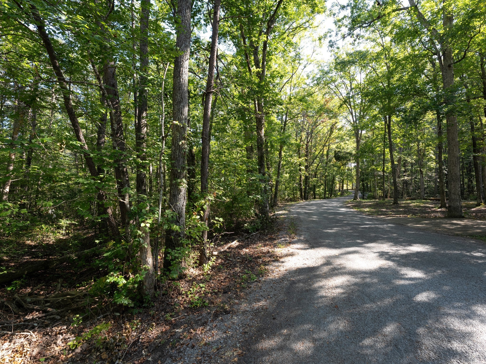 Photo of Listing #3000584