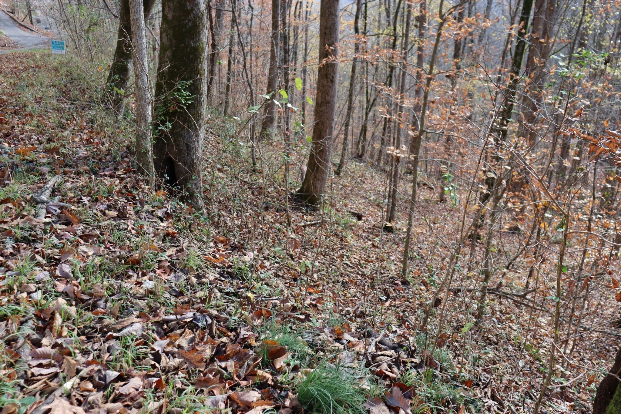 Photo of Listing #3000834