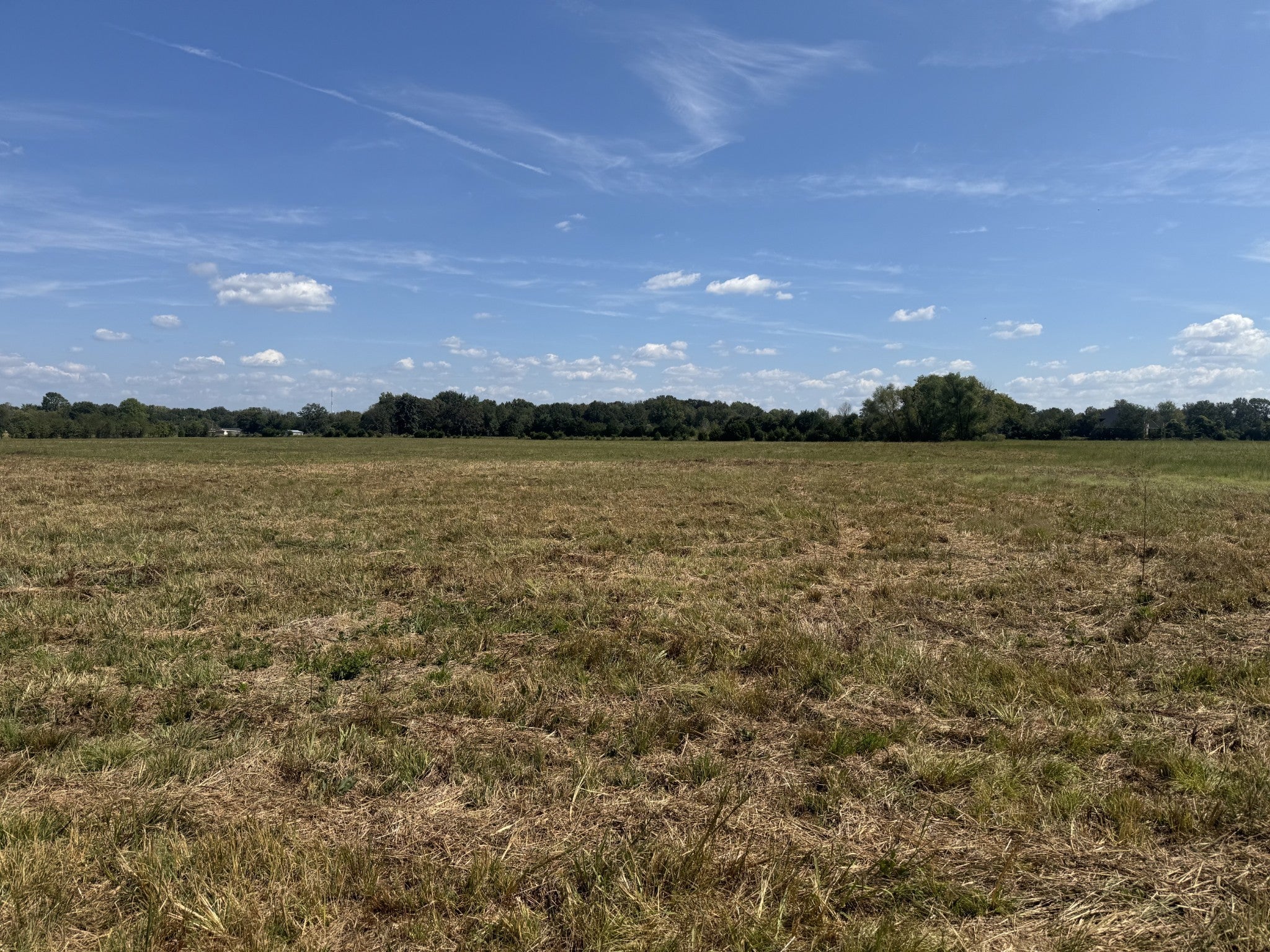 Photo of Listing #3000889