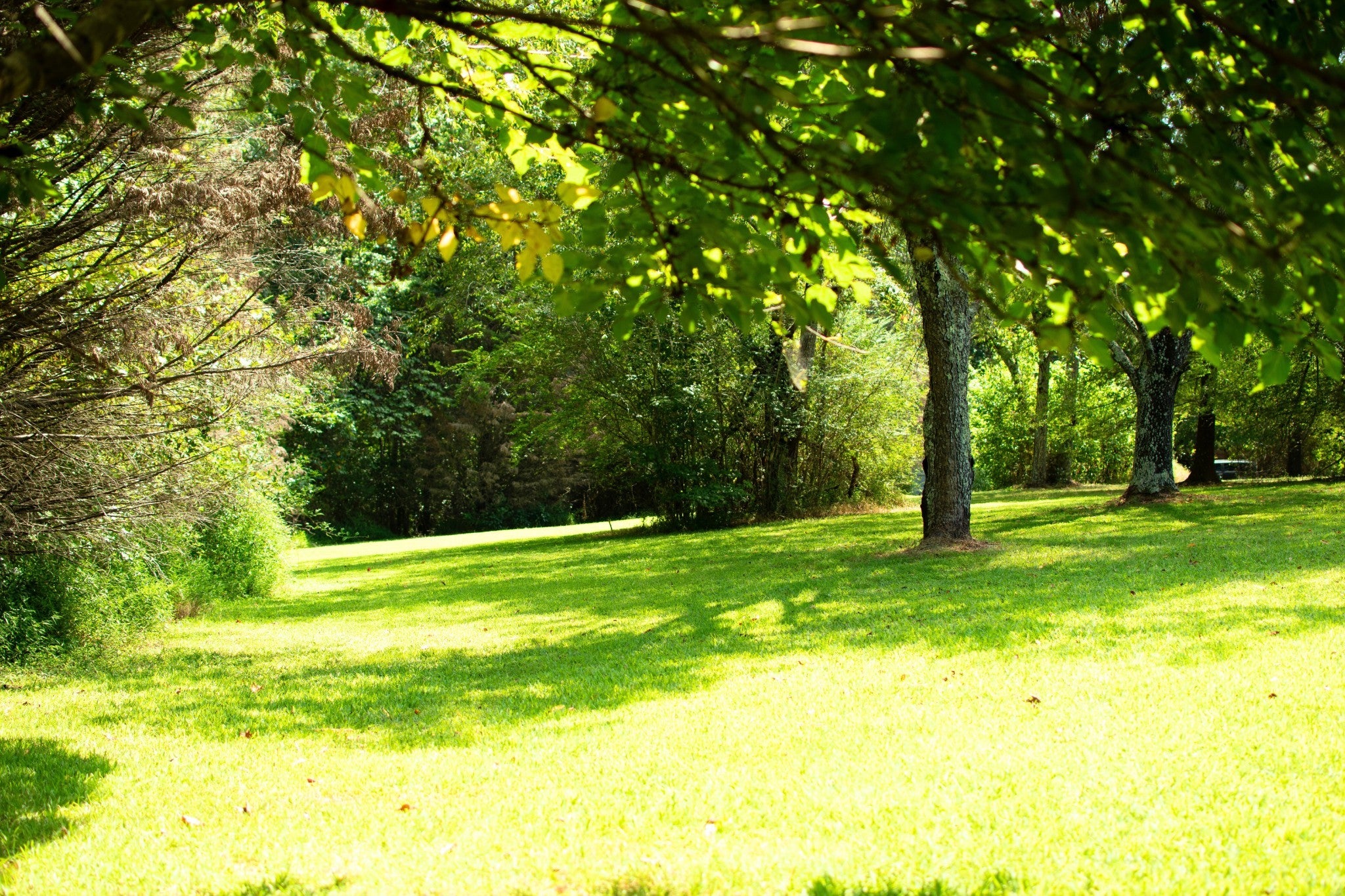 Photo of Listing #3001048