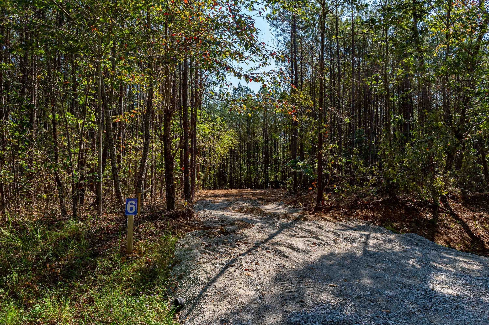 Photo of Listing #3001108