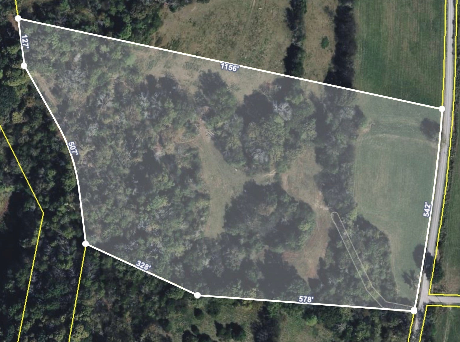 Photo of Listing #3001145