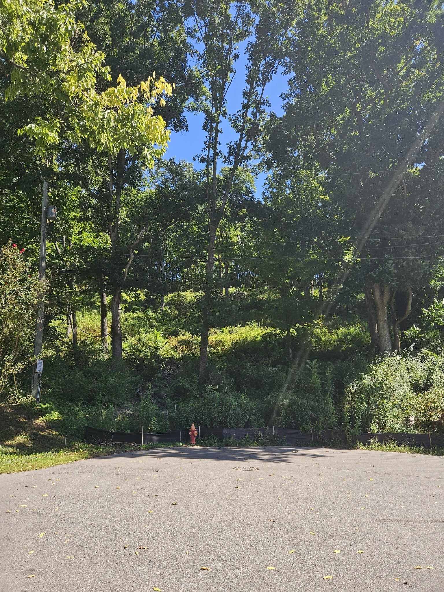 Photo of Listing #3001176