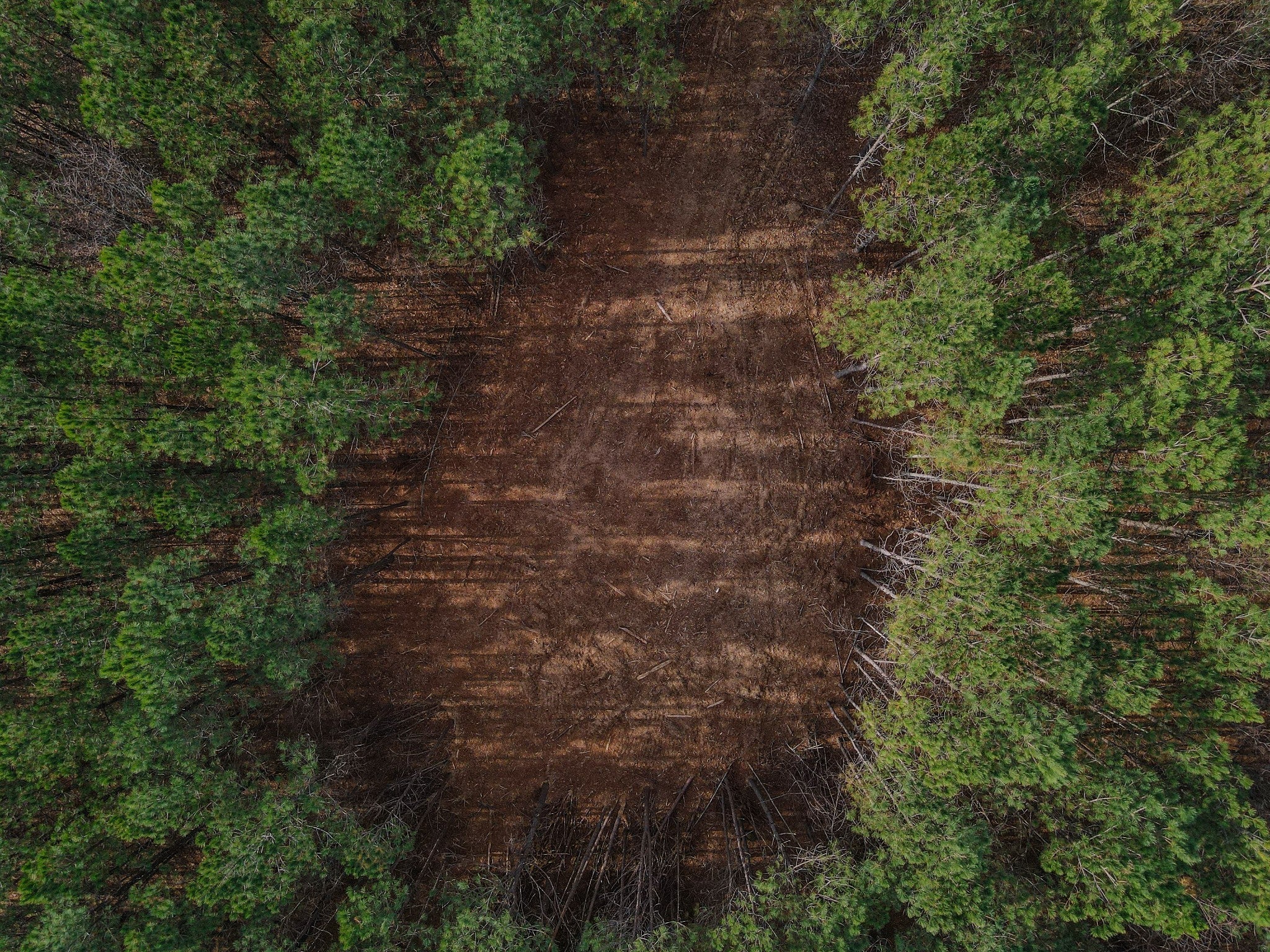 Photo of Listing #3001251