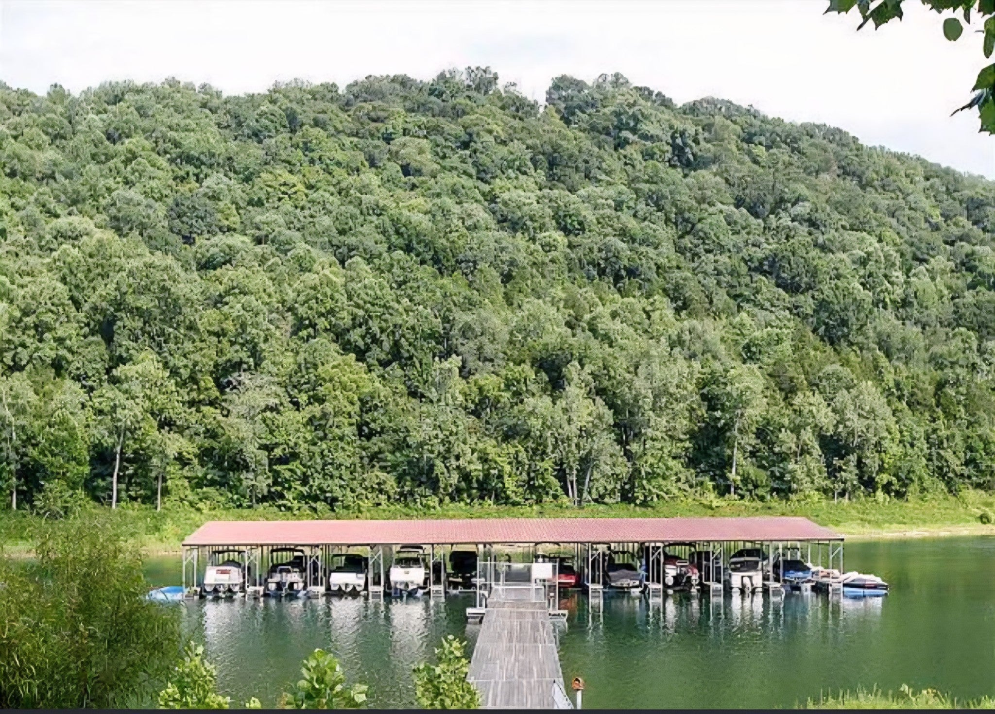 Photo of Listing #3001264