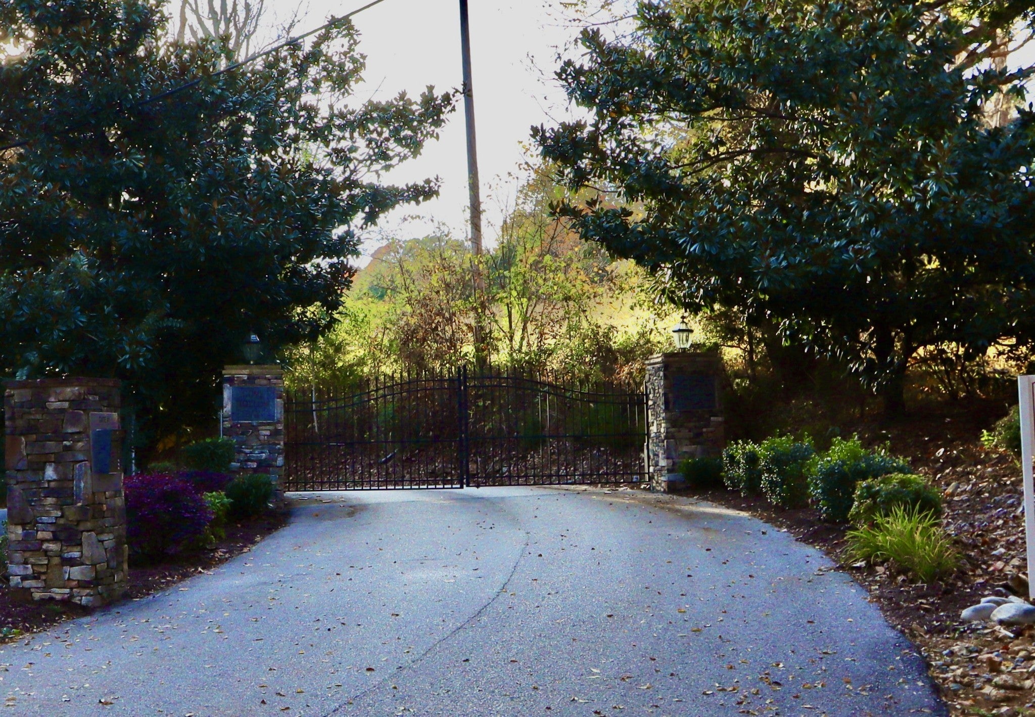 Photo of Listing #3001271