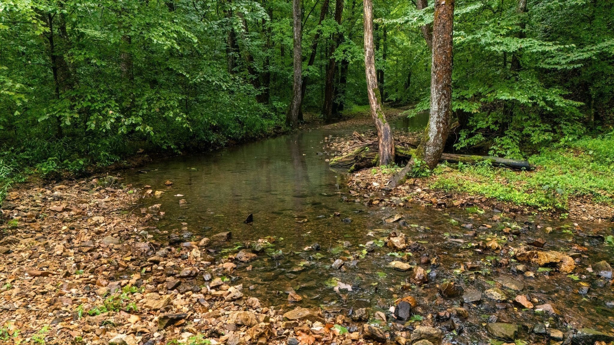 Photo of Listing #3001315