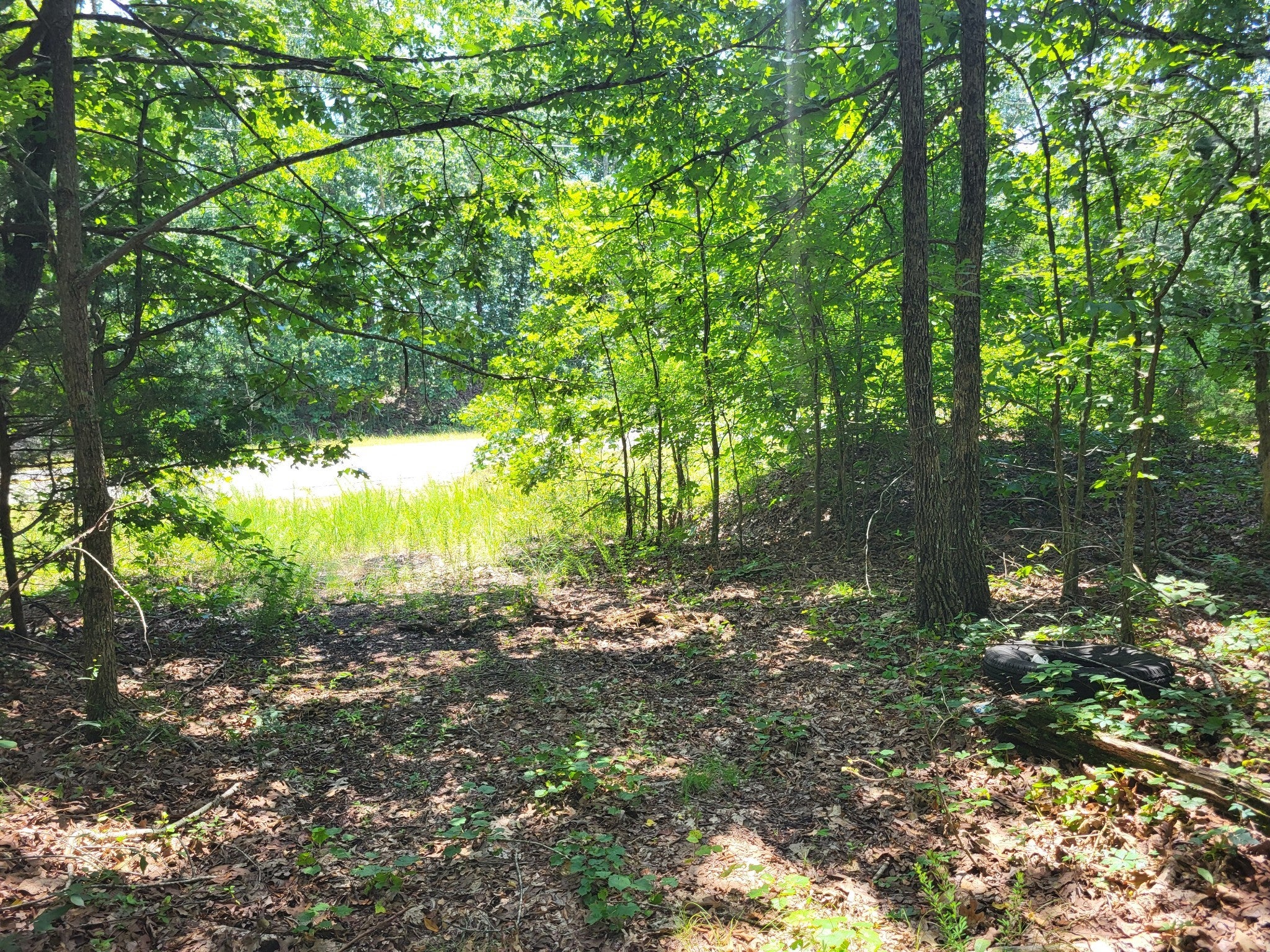 Photo of Listing #3001398