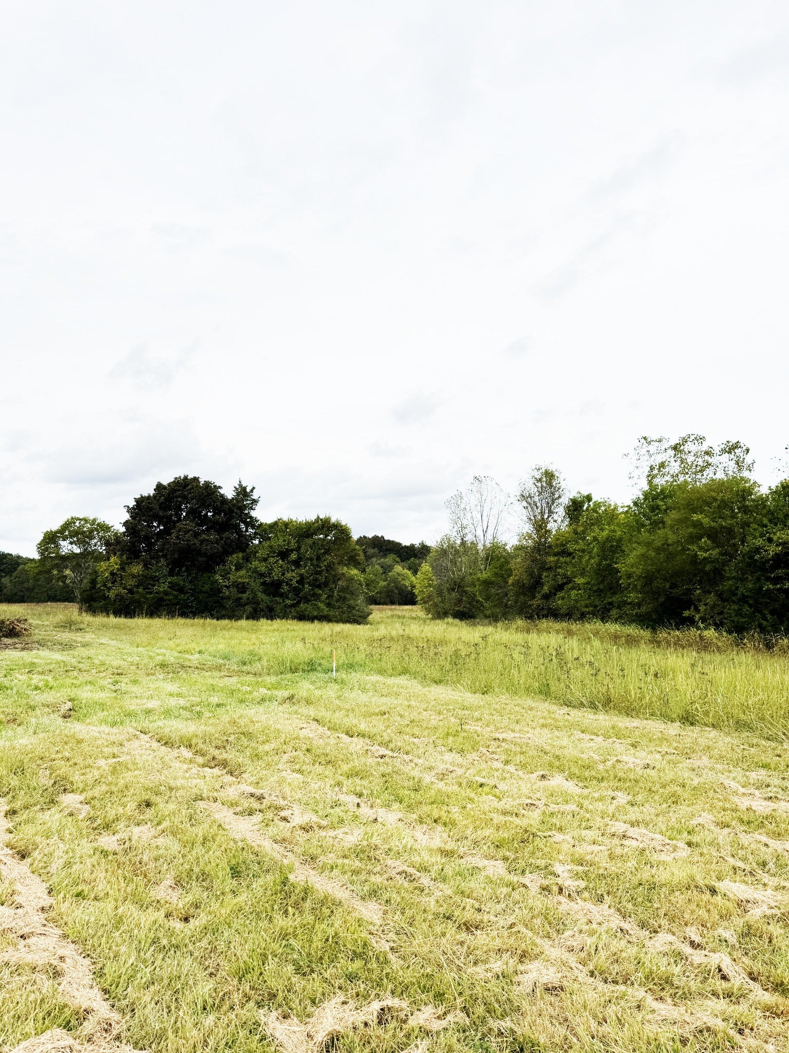 Photo of Listing #3001480