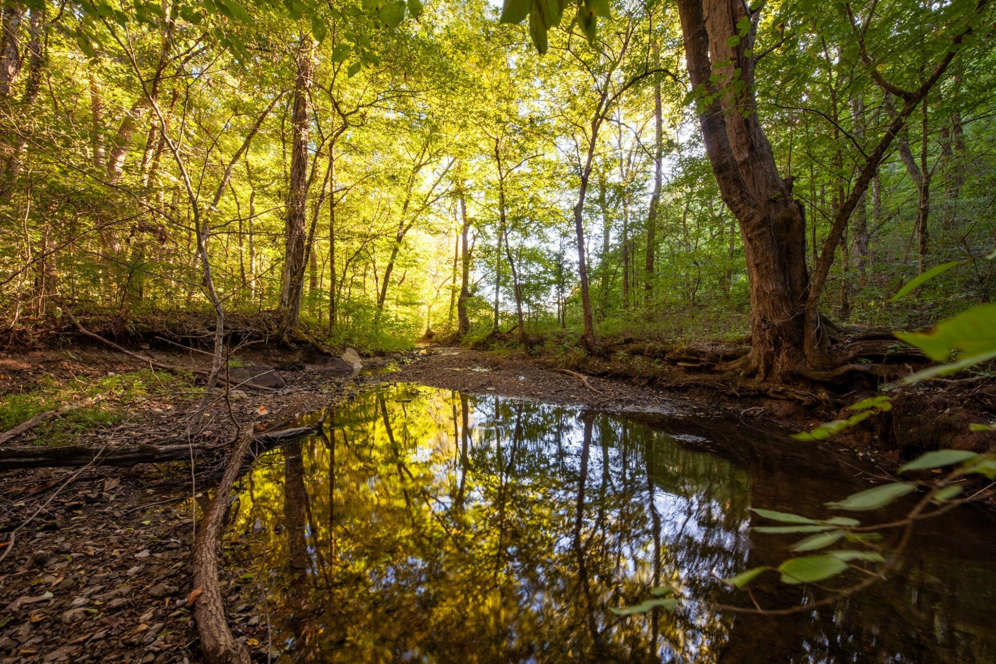 Photo of Listing #3001548