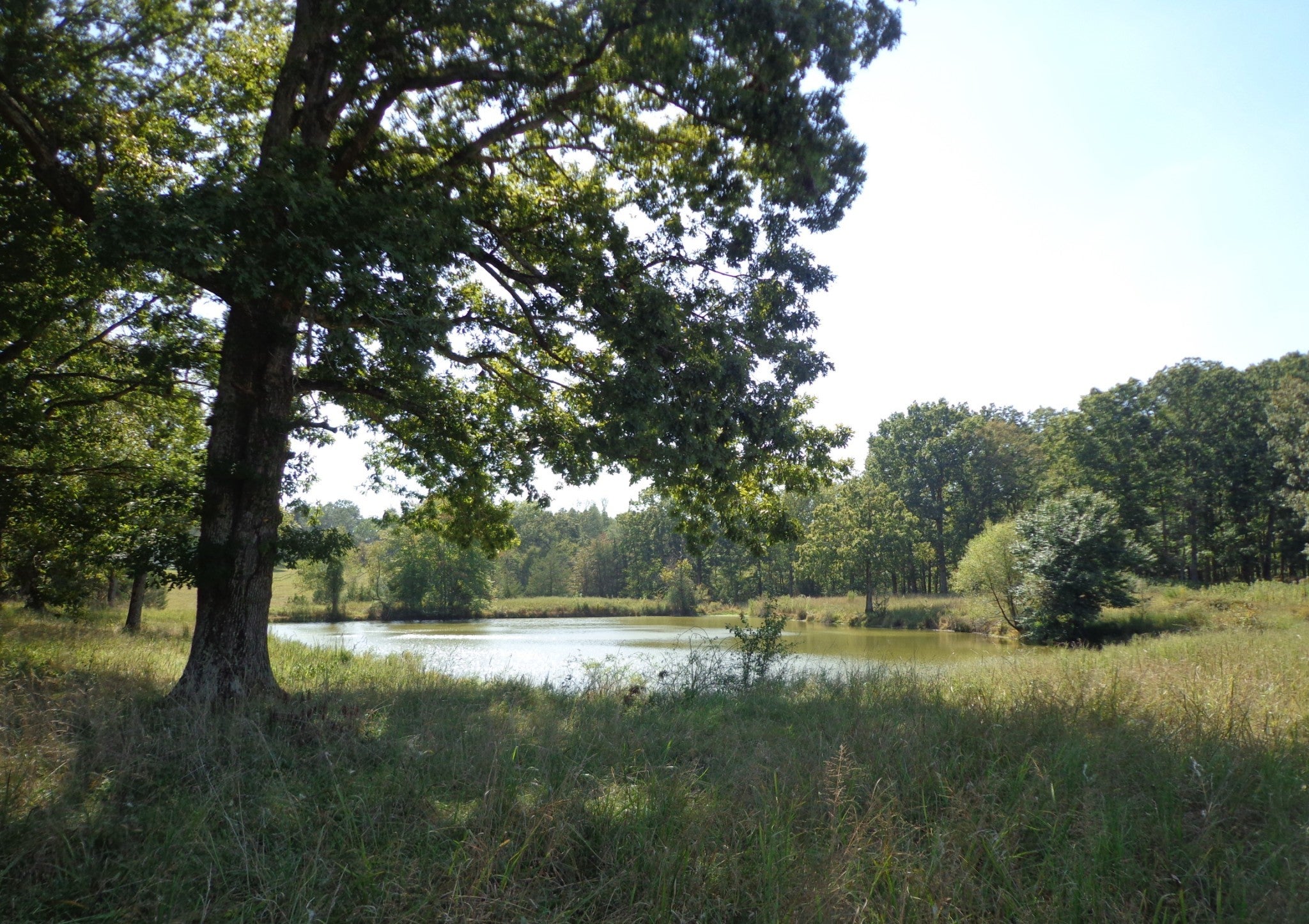 Photo of Listing #3001757