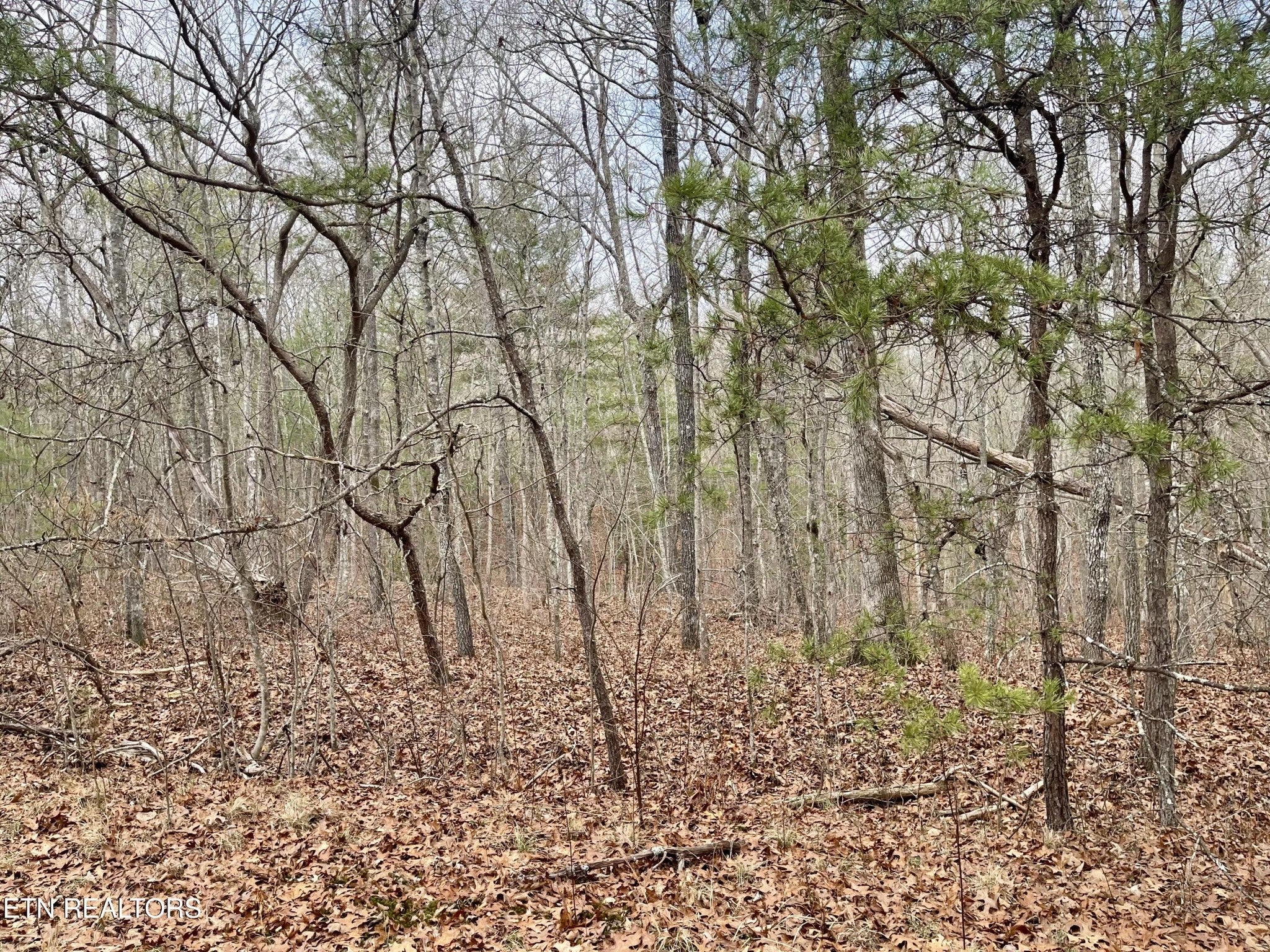 Photo of Listing #3001843