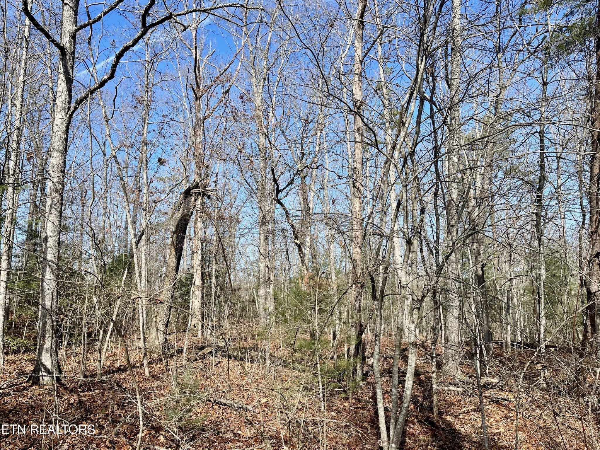 Photo of Listing #3001848