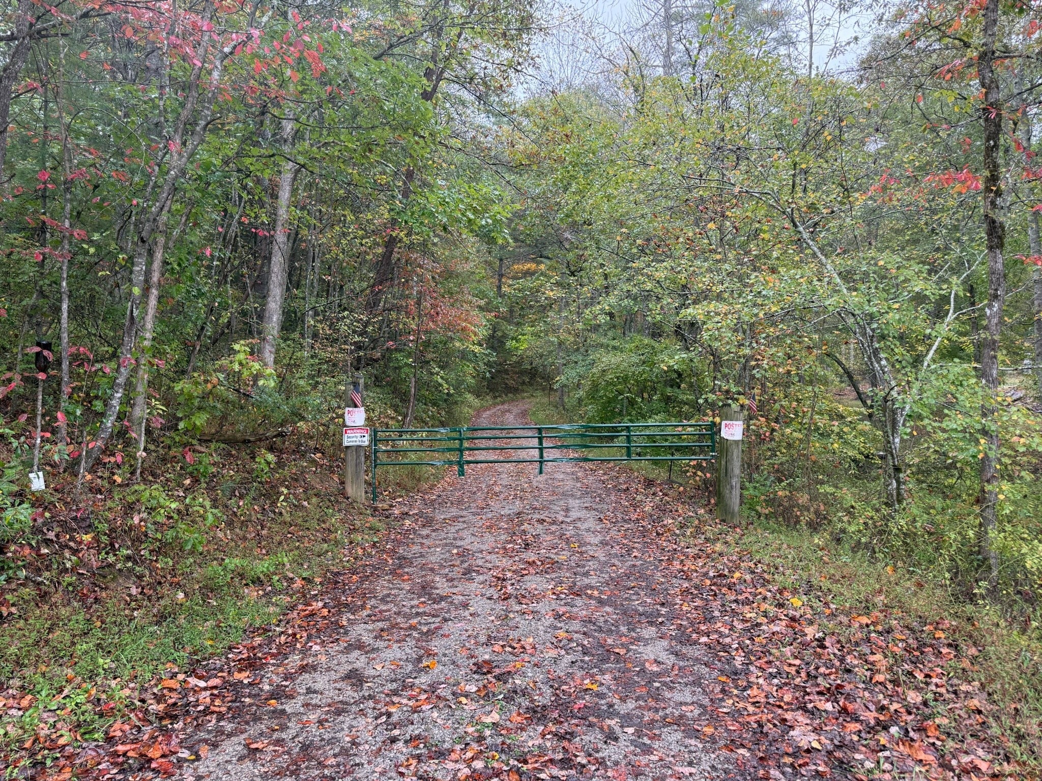 Photo of Listing #3001859