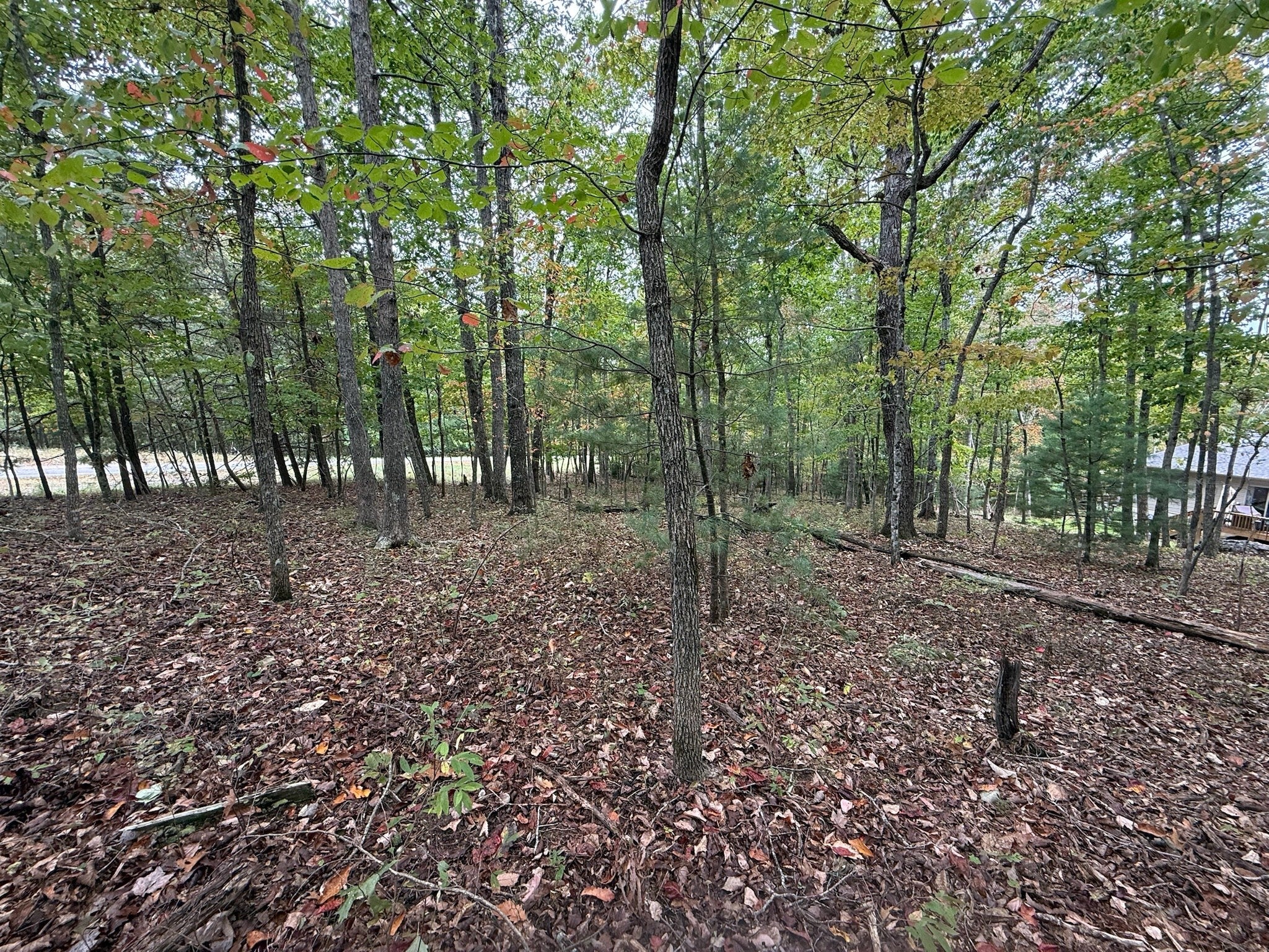 Photo of Listing #3001900