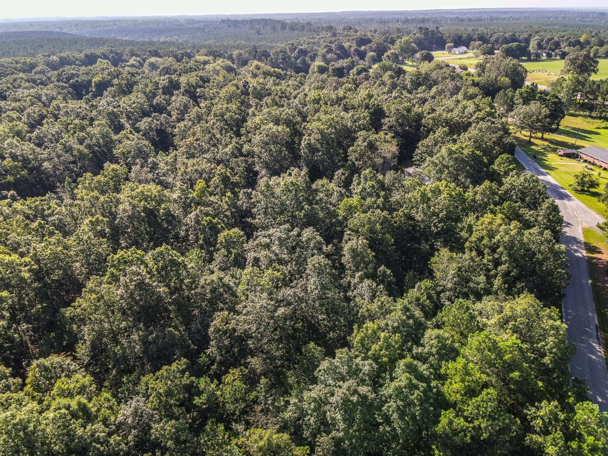 Photo of Listing #3001901