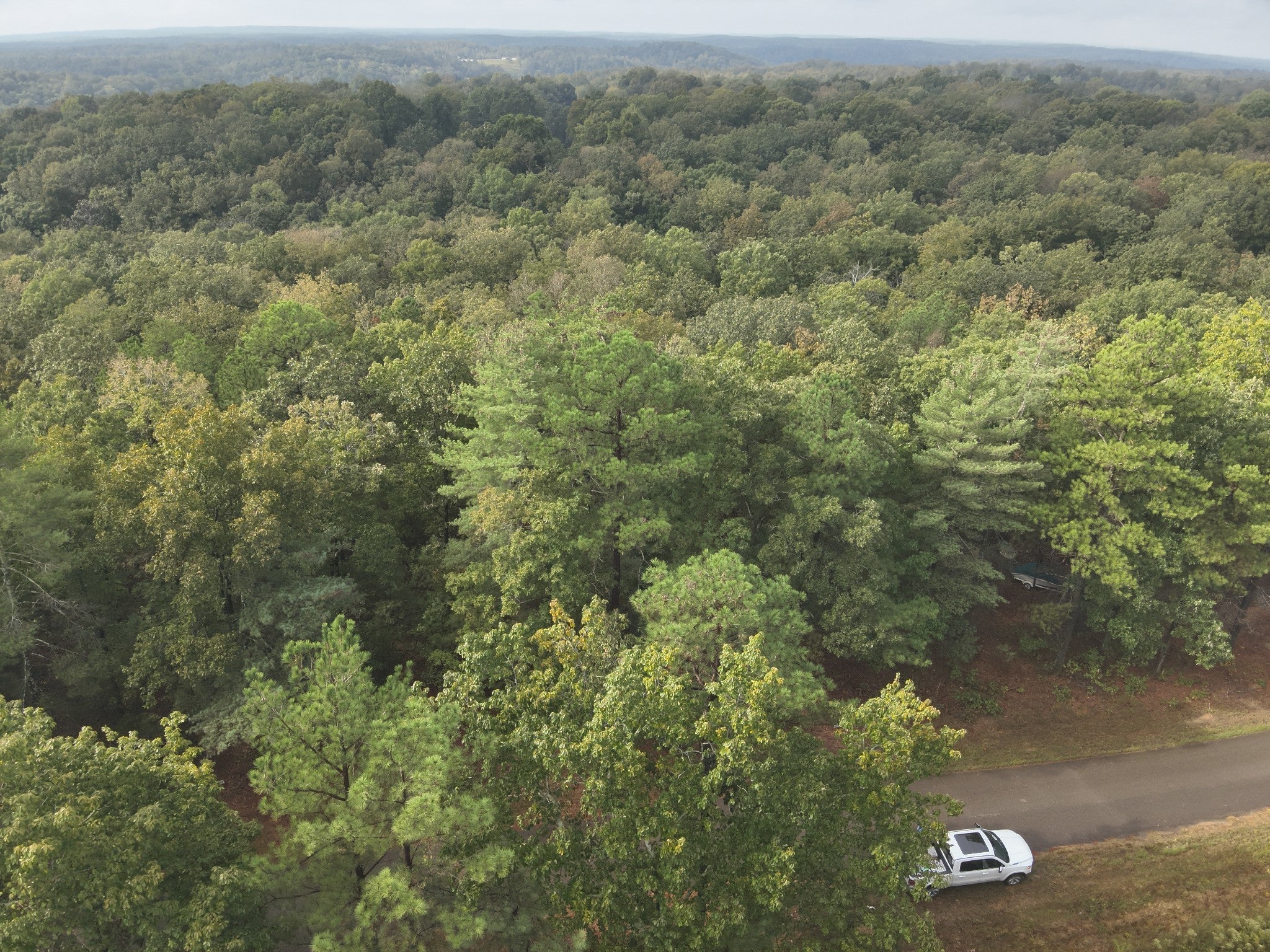 Photo of Listing #3001925