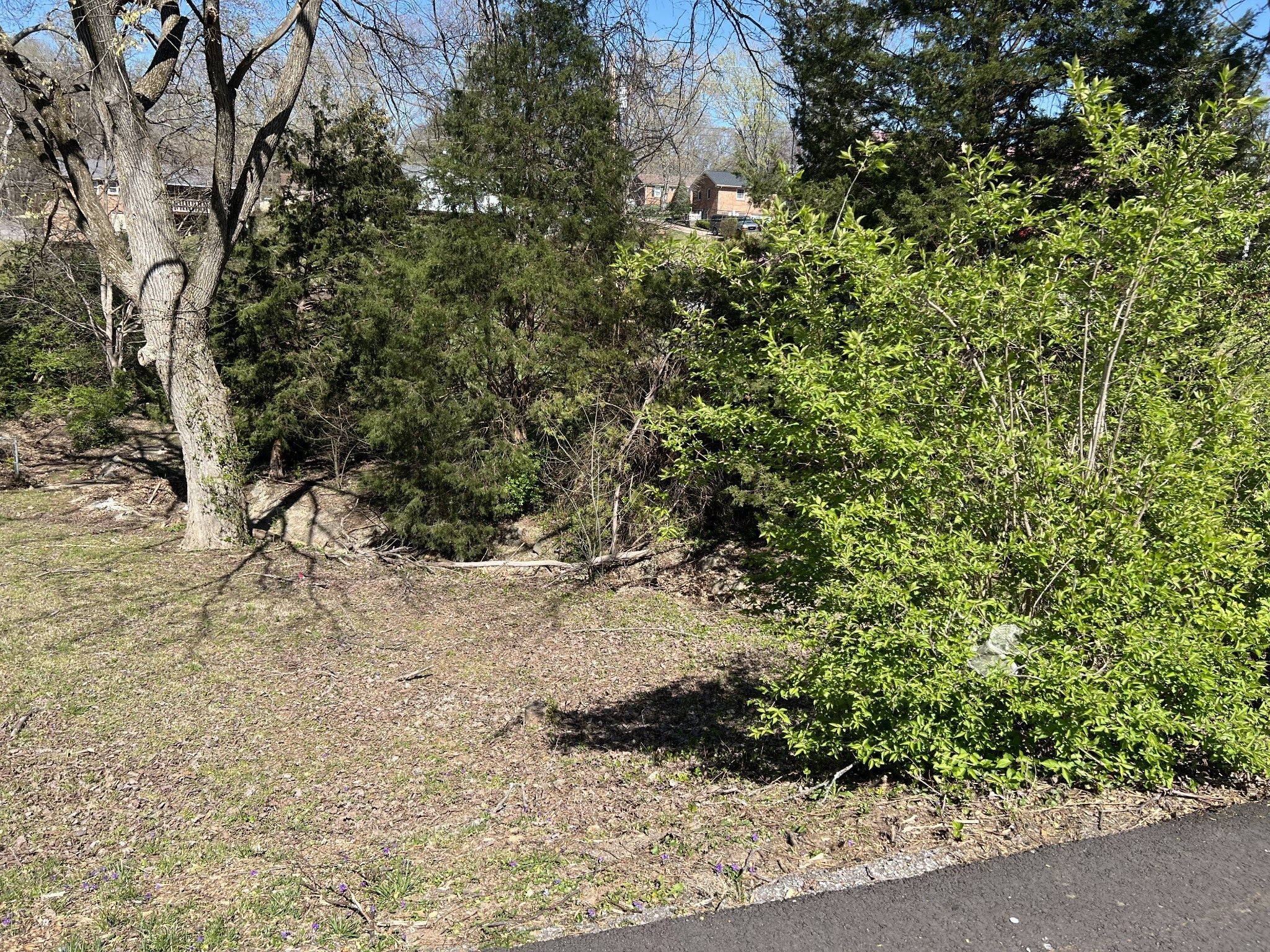 Photo of Listing #3001960