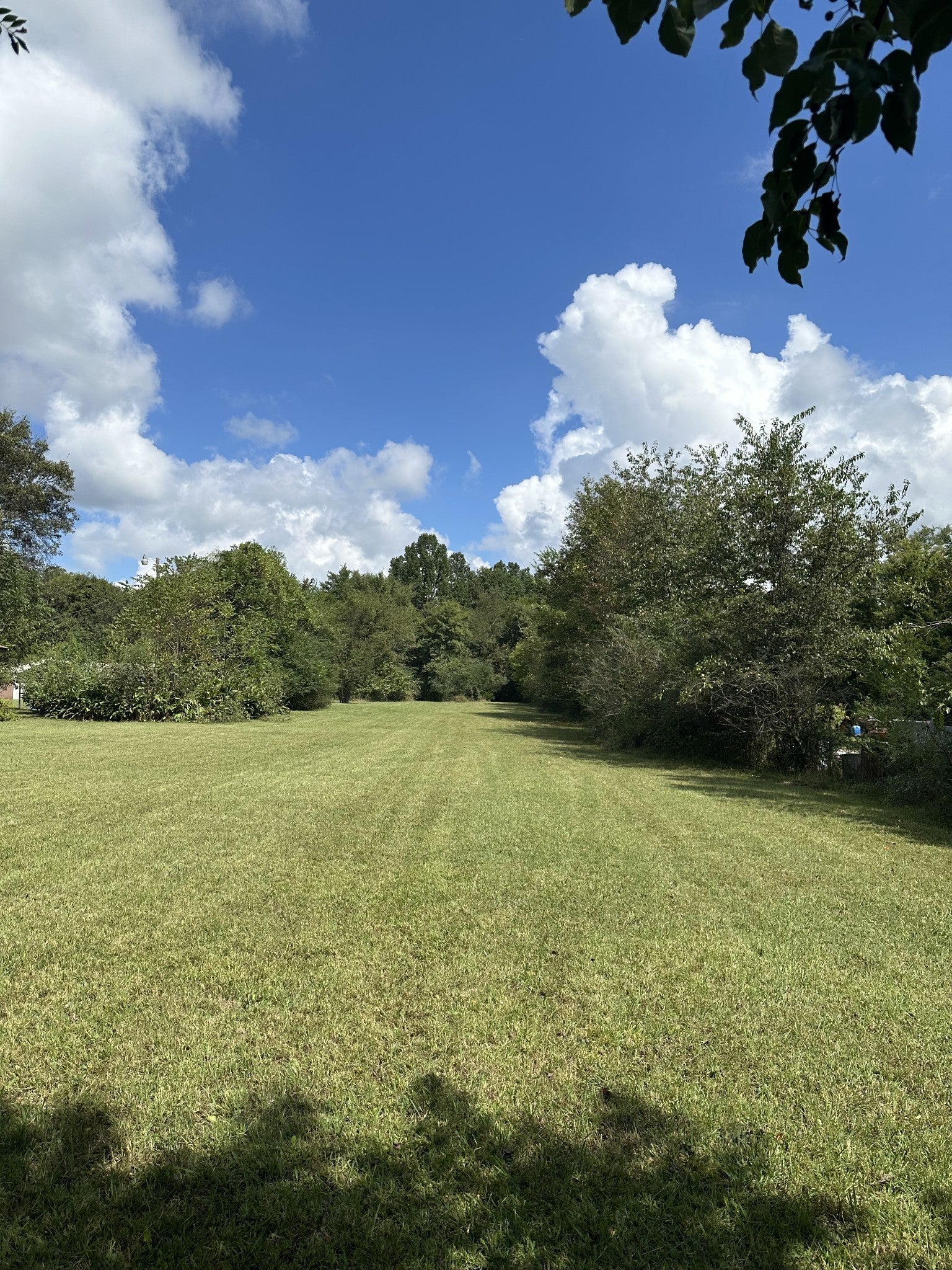 Photo of Listing #3001962